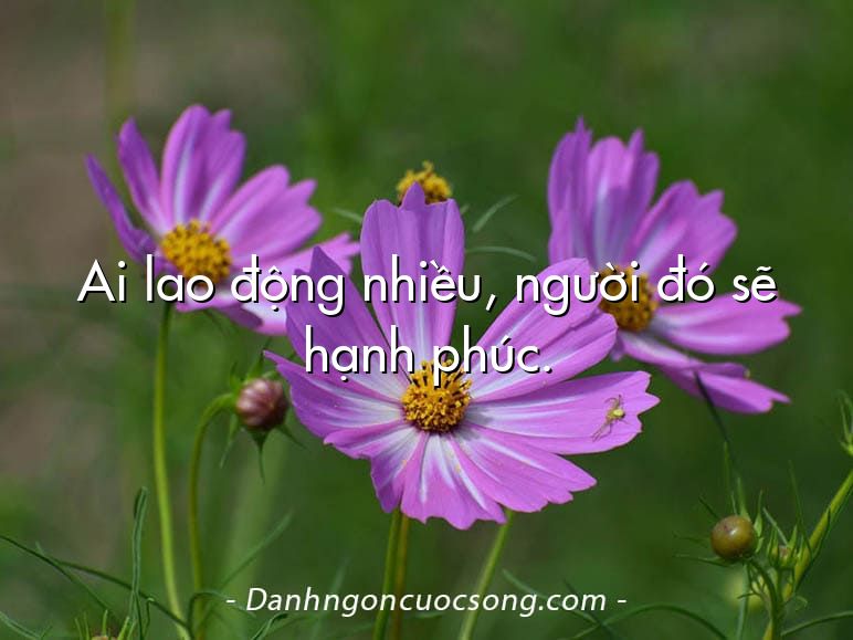 Ai lao động nhiều, người đó sẽ hạnh phúc.