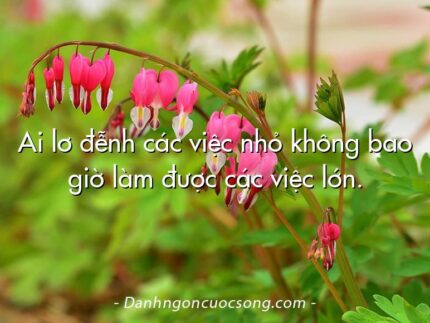 Ai lơ đễnh các việc nhỏ không bao giờ làm được các việc lớn.