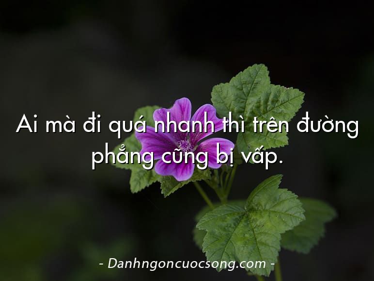 Ai mà đi quá nhanh thì trên đường phẳng cũng bị vấp.