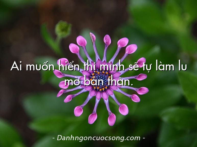 Ai muốn hiển thị mình sẽ tự làm lu mờ bản thân.