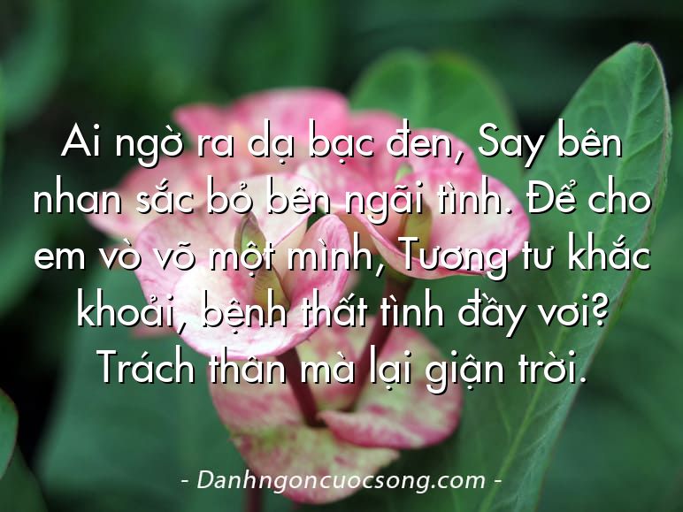 Ai ngờ ra dạ bạc đen, Say bên nhan sắc bỏ bên ngãi tình. Để cho em vò võ một mình, Tương tư khắc khoải, bệnh thất tình đầy vơi? Trách thân mà lại giận trời.