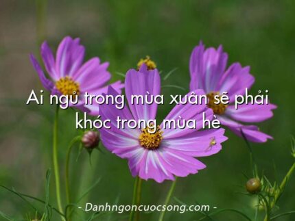 Ai ngủ trong mùa xuân sẽ phải khóc trong mùa hè