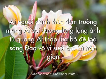 Ai người đánh thức đêm trường mộng Ai soi đường lồng lộng ánh từ quang Ai thắp lửa bồ đề toả sáng Đạo vô vi sưởi ấm cả trần gian