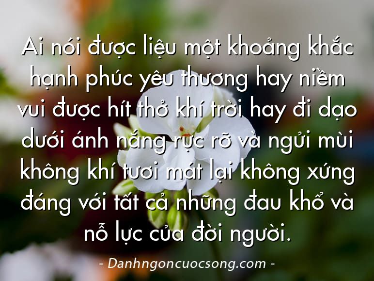 Ai nói được liệu một khoảng khắc hạnh phúc yêu thương hay niềm vui được hít thở khí trời hay đi dạo dưới ánh nắng rực rỡ và ngửi mùi không khí tươi mát lại không xứng đáng với tất cả những đau khổ và nỗ lực của đời người.