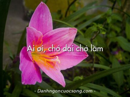 Ai ơi, chớ dại chớ lầm