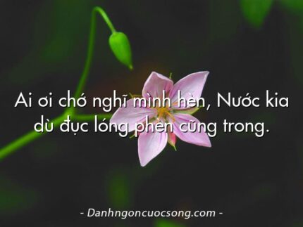 Ai ơi chớ nghĩ mình hèn, Nước kia dù đục lóng phèn cũng trong.