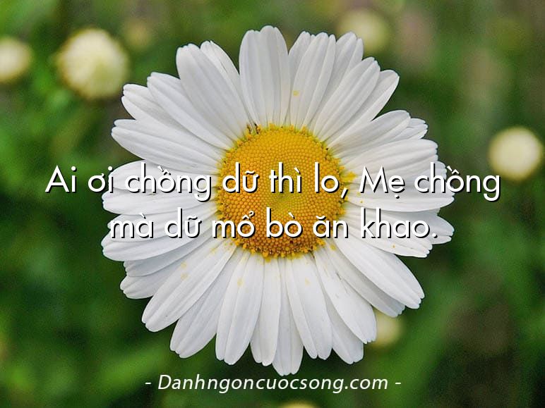 Ai ơi chồng dữ thì lo, Mẹ chồng mà dữ mổ bò ăn khao.