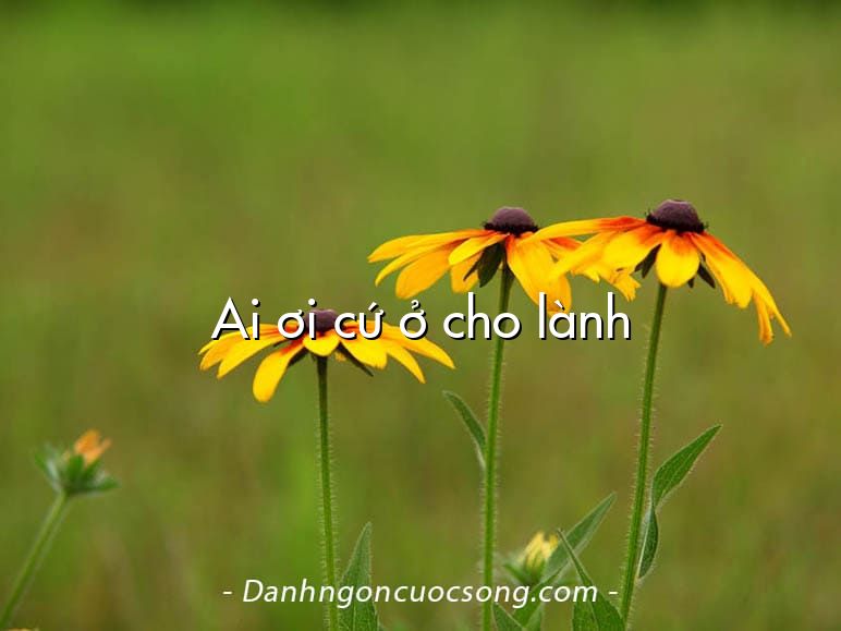 Ai ơi cứ ở cho lành