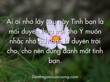 Ai ơi nhớ lấy câu này Tình bạn là mối duyên thừa trời cho Ý muốn nhắc nhở tình bạn là duyên trời cho, cho nên đừng đánh mất tình bạn.