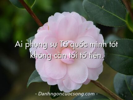 Ai phụng sự Tổ quốc mình tốt không cần tới tổ tiên.