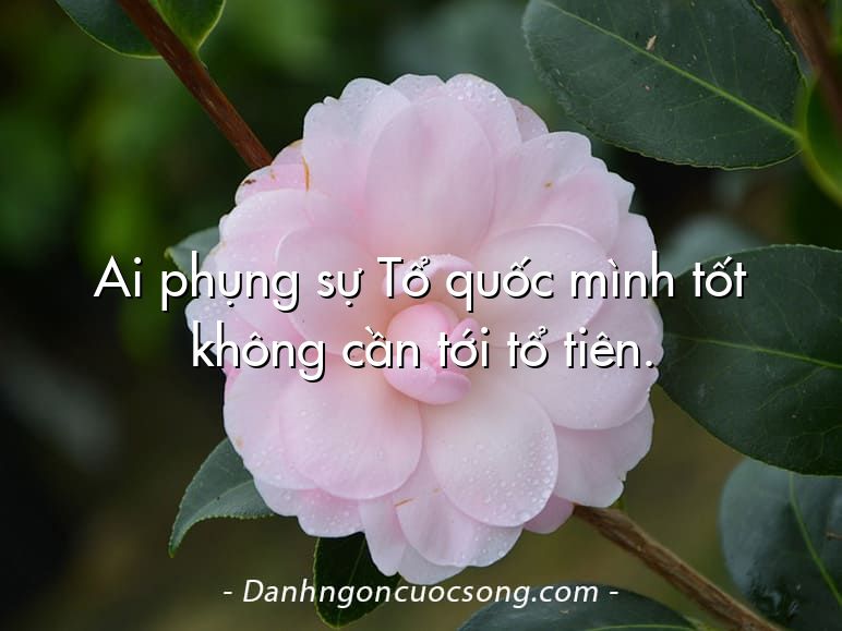 Ai phụng sự Tổ quốc mình tốt không cần tới tổ tiên.