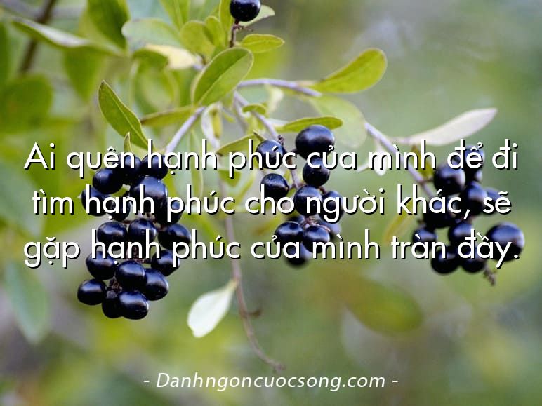 Ai quên hạnh phúc của mình để đi tìm hạnh phúc cho người khác, sẽ gặp hạnh phúc của mình tràn đầy.