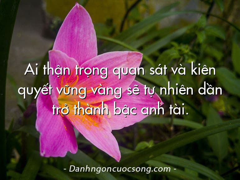 Ai thận trọng quan sát và kiên quyết vững vàng sẽ tự nhiên dần trở thành bậc anh tài.