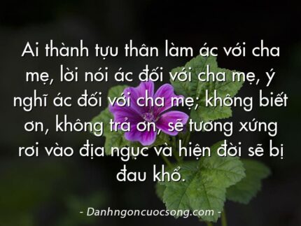 Ai thành tựu thân làm ác với cha mẹ, lời nói ác đối với cha mẹ, ý nghĩ ác đối với cha mẹ; không biết ơn, không trả ơn, sẽ tương xứng rơi vào địa ngục và hiện đời sẽ bị đau khổ.