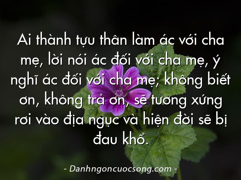 Ai thành tựu thân làm ác với cha mẹ, lời nói ác đối với cha mẹ, ý nghĩ ác đối với cha mẹ; không biết ơn, không trả ơn, sẽ tương xứng rơi vào địa ngục và hiện đời sẽ bị đau khổ.