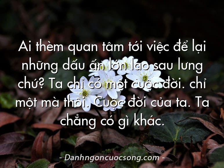 Ai thèm quan tâm tới việc để lại những dấu ấn lớn lao sau lưng chứ? Ta chỉ có một cuộc đời. chỉ một mà thôi. Cuộc đời của ta. Ta chẳng có gì khác.