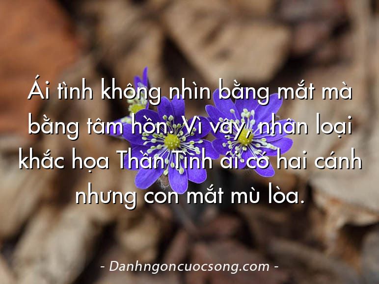 Ái tình không nhìn bằng mắt mà bằng tâm hồn. Vì vậy, nhân loại khắc họa Thần Tình ái có hai cánh nhưng con mắt mù lòa.