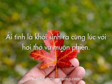 Ái tình là khói sinh ra cùng lúc với hơi thở và muộn phiền.