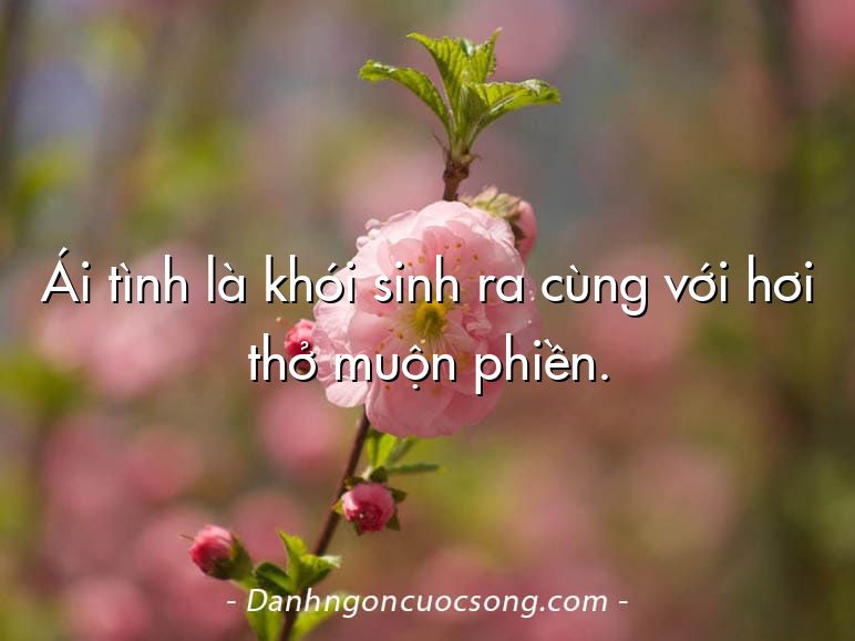 Ái tình là khói sinh ra cùng với hơi thở muộn phiền.