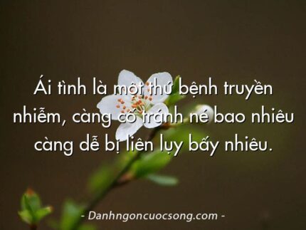 Ái tình là một thứ bệnh truyền nhiễm, càng cố tránh né bao nhiêu càng dễ bị liên lụy bấy nhiêu.