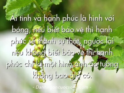 Ái tình và hạnh phúc là hình với bóng, nếu biết bảo vệ thì hạnh phúc sẽ thành sự thật, ngườc lại nếu không biết bảo vệ thì hạnh phúc chỉ là một hình ảnh ảo tưởng không bao giờ có.