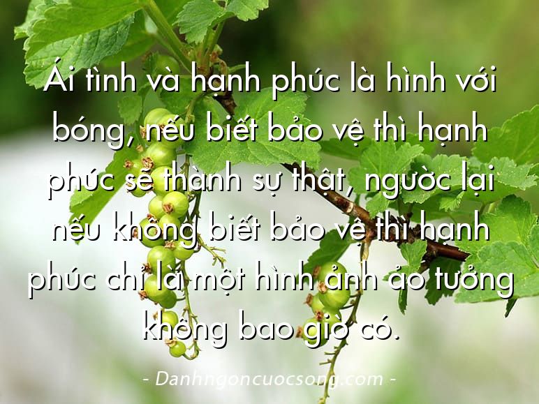 Ái tình và hạnh phúc là hình với bóng, nếu biết bảo vệ thì hạnh phúc sẽ thành sự thật, ngườc lại nếu không biết bảo vệ thì hạnh phúc chỉ là một hình ảnh ảo tưởng không bao giờ có.