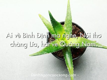 Ai về Bình Định mà nghe, Nói thơ chàng Lía, hát vè Quảng Nam.