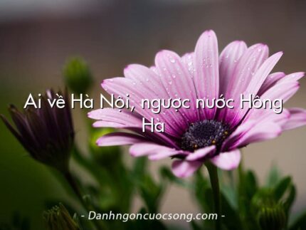 Ai về Hà Nội, ngược nước Hồng Hà