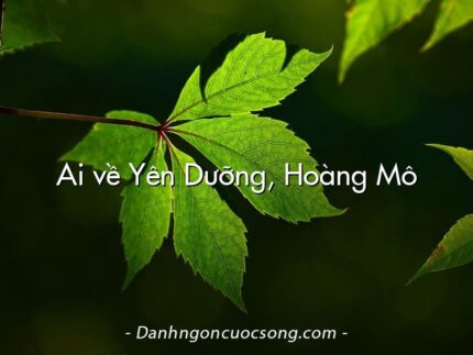 Ai về Yên Dưỡng, Hoàng Mô