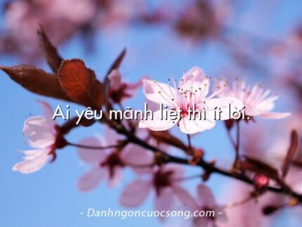Ai yêu mãnh liệt thì ít lời.
