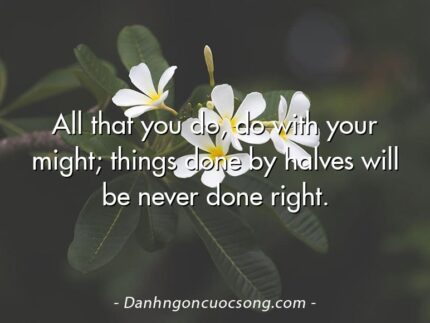 All that you do, do with your might; things done by halves will be never done right.