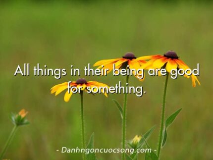 All things in their being are good for something.