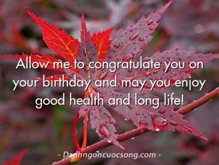 Allow me to congratulate you on your birthday and may you enjoy good health and long life!