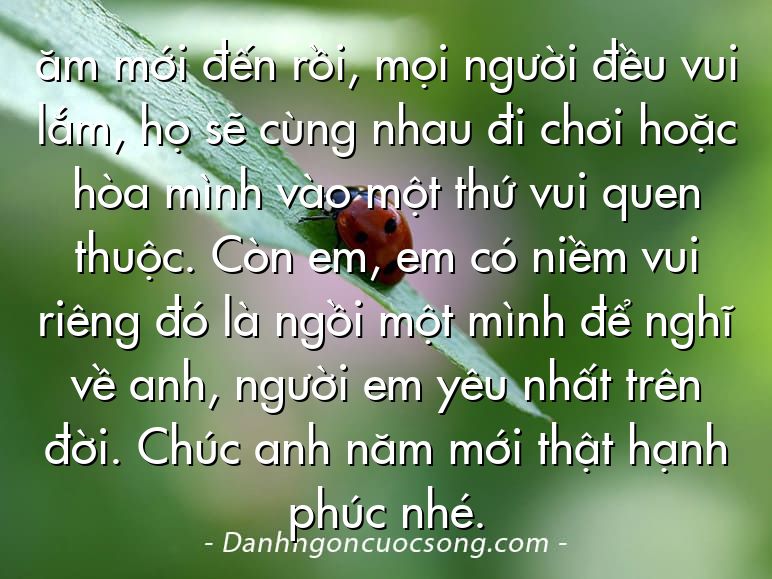 ăm mới đến rồi, mọi người đều vui lắm, họ sẽ cùng nhau đi chơi hoặc hòa mình vào một thứ vui quen thuộc. Còn em, em có niềm vui riêng đó là ngồi một mình để nghĩ về anh, người em yêu nhất trên đời. Chúc anh năm mới thật hạnh phúc nhé.