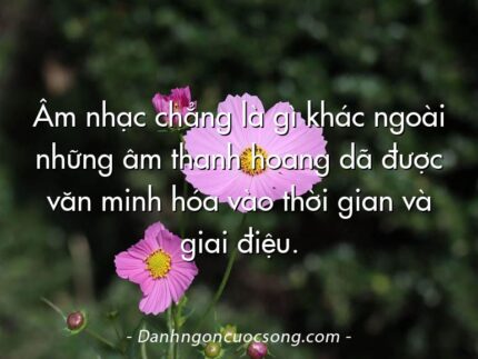 Âm nhạc chẳng là gì khác ngoài những âm thanh hoang dã được văn minh hóa vào thời gian và giai điệu.