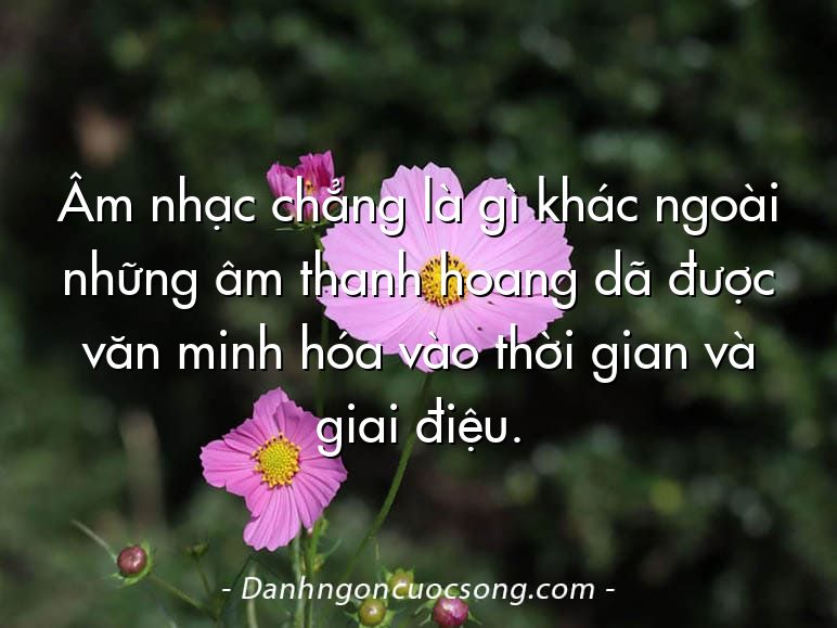 Âm nhạc chẳng là gì khác ngoài những âm thanh hoang dã được văn minh hóa vào thời gian và giai điệu.