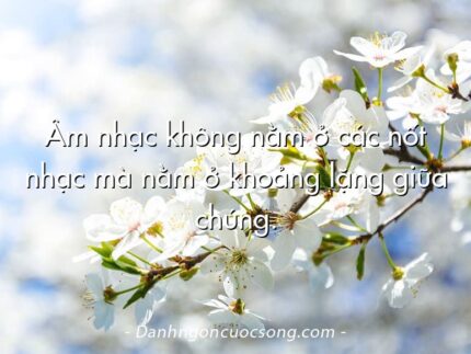 Âm nhạc không nằm ở các nốt nhạc mà nằm ở khoảng lặng giữa chúng.