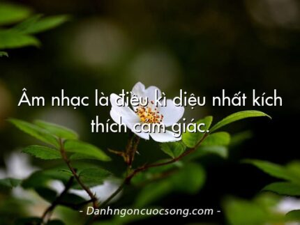 Âm nhạc là điều kì diệu nhất kích thích cảm giác.