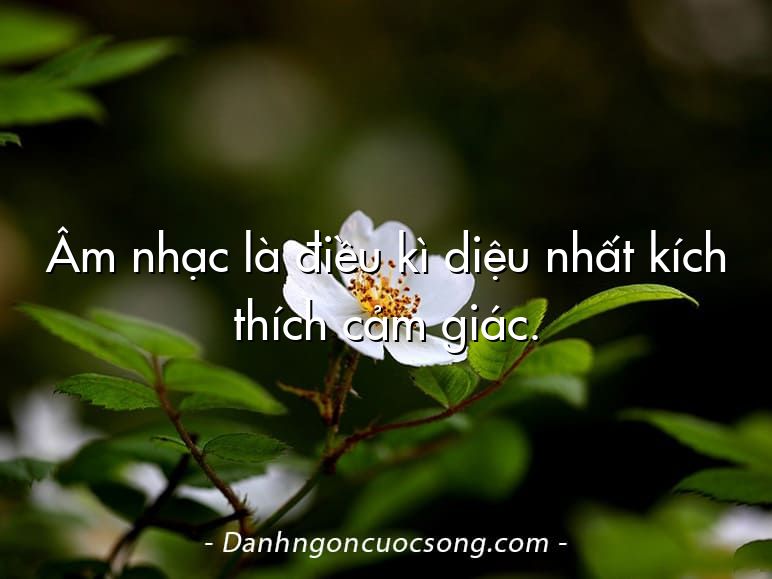 Âm nhạc là điều kì diệu nhất kích thích cảm giác.