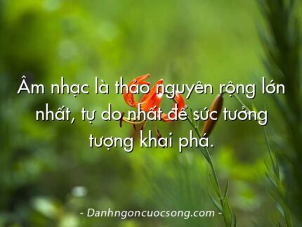 Âm nhạc là thảo nguyên rộng lớn nhất, tự do nhất để sức tưởng tượng khai phá.