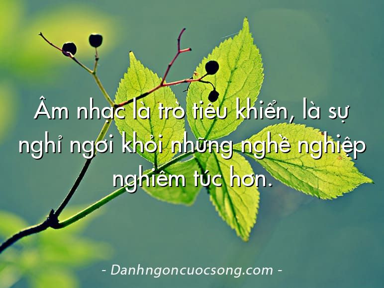 Âm nhạc là trò tiêu khiển, là sự nghỉ ngơi khỏi những nghề nghiệp nghiêm túc hơn.