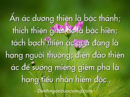 Ẩn ác dương thiện là bậc thánh; thích thiện ghét ác là bậc hiền; tách bạch thiện ác quá đáng là hạng người thường; điên đảo thiện ác để sướng miệng gièm pha là hạng tiểu nhân hiểm độc.