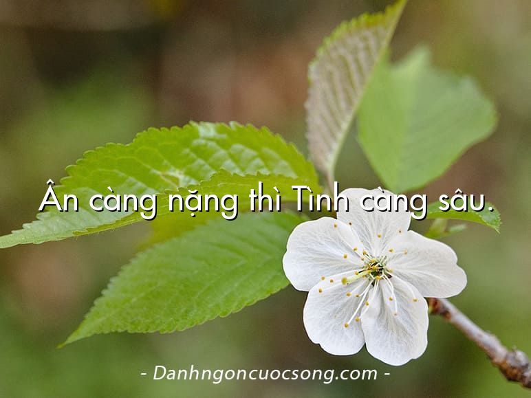 Ân càng nặng thì Tình càng sâu.