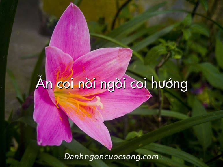 Ăn coi nồi ngồi coi hướng