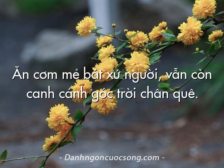 Ăn cơm mẻ bát xứ người, vẫn còn canh cánh góc trời chân quê.