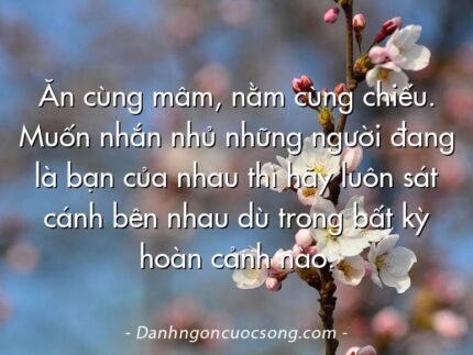 Ăn cùng mâm, nằm cùng chiếu. Muốn nhắn nhủ những người đang là bạn của nhau thì hãy luôn sát cánh bên nhau dù trong bất kỳ hoàn cảnh nào.