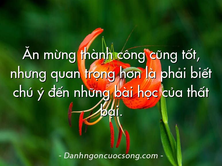 Ăn mừng thành công cũng tốt, nhưng quan trọng hơn là phải biết chú ý đến những bài học của thất bại.