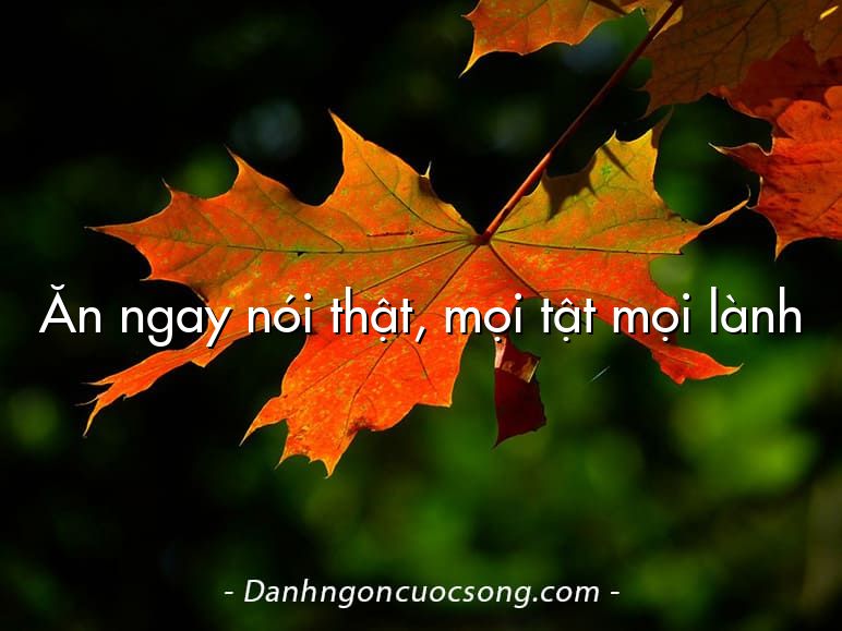 Ăn ngay nói thật, mọi tật mọi lành