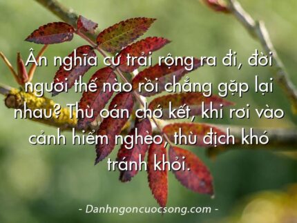 Ân nghĩa cứ trải rộng ra đi, đời người thế nào rồi chẳng gặp lại nhau? Thù oán chớ kết, khi rơi vào cảnh hiểm nghèo, thù địch khó tránh khỏi.