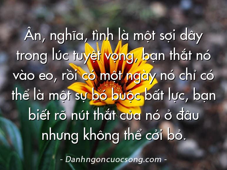 Ân, nghĩa, tình là một sợi dây trong lúc tuyệt vọng, bạn thắt nó vào eo, rồi có một ngày nó chỉ có thể là một sự bó buộc bất lực, bạn biết rõ nút thắt của nó ở đâu nhưng không thể cởi bỏ.